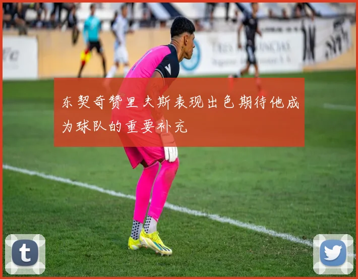 东契奇赞里夫斯表现出色期待他成为球队的重要补充